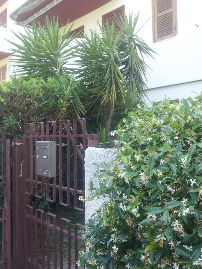 Ccc Holiday Properties Le Vele Ccc 蒙塔尔托迪卡斯特罗 外观 照片