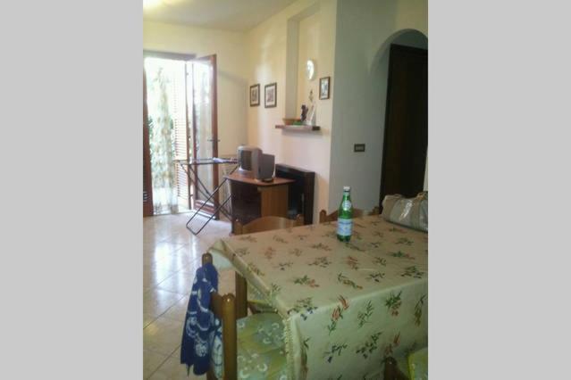 Ccc Holiday Properties Le Vele Ccc 蒙塔尔托迪卡斯特罗 外观 照片