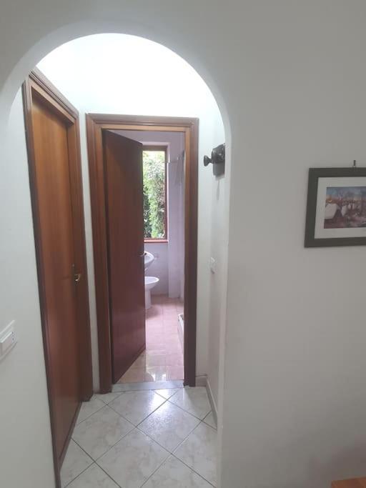 Ccc Holiday Properties Le Vele Ccc 蒙塔尔托迪卡斯特罗 外观 照片