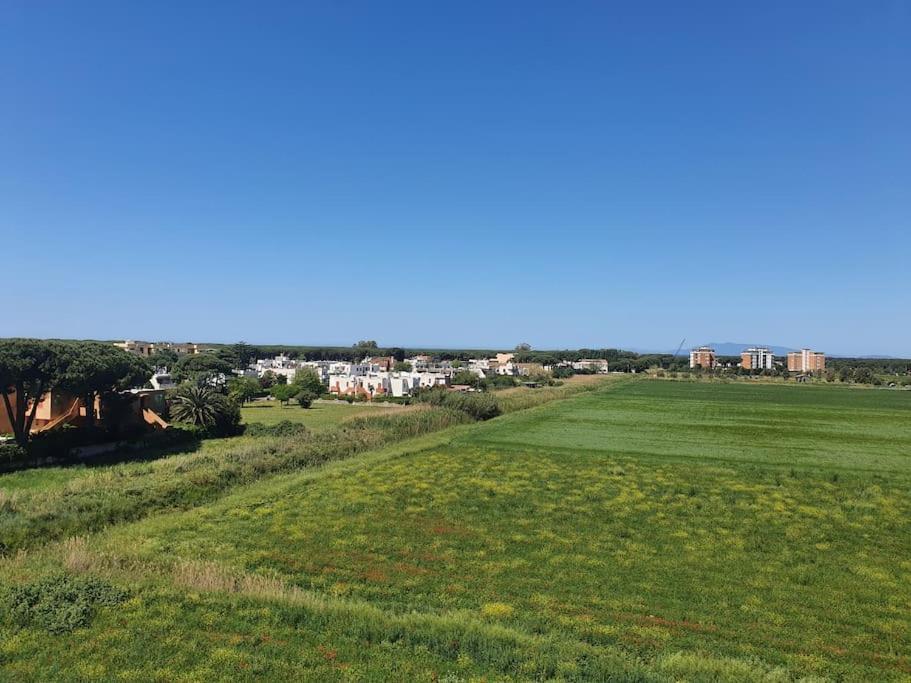 Ccc Holiday Properties Le Vele Ccc 蒙塔尔托迪卡斯特罗 外观 照片