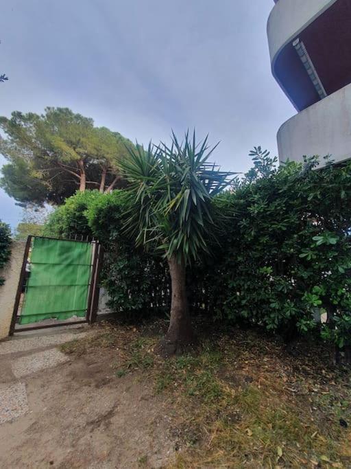 Ccc Holiday Properties Le Vele Ccc 蒙塔尔托迪卡斯特罗 外观 照片