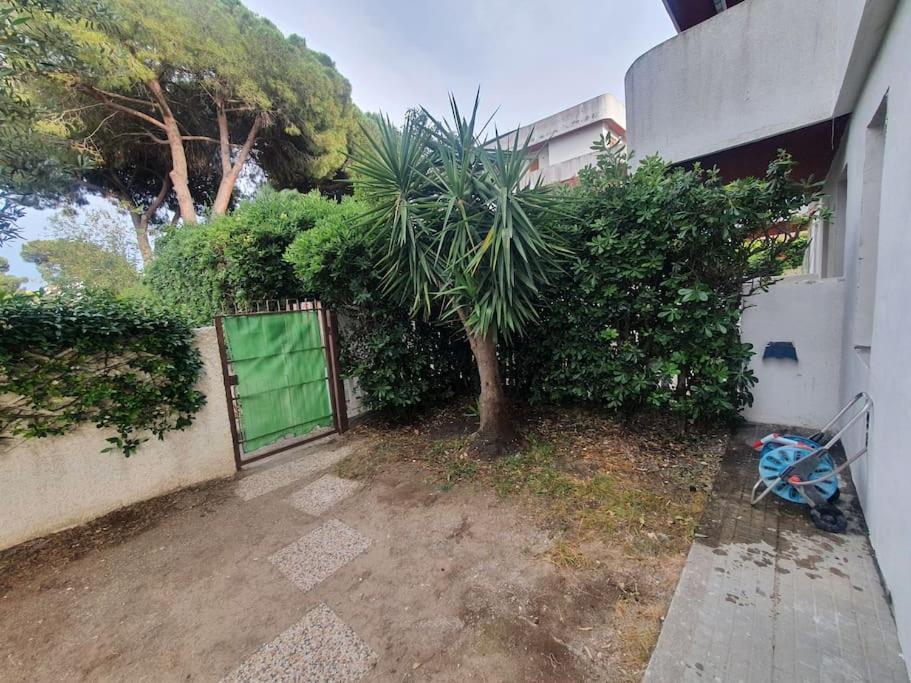 Ccc Holiday Properties Le Vele Ccc 蒙塔尔托迪卡斯特罗 外观 照片
