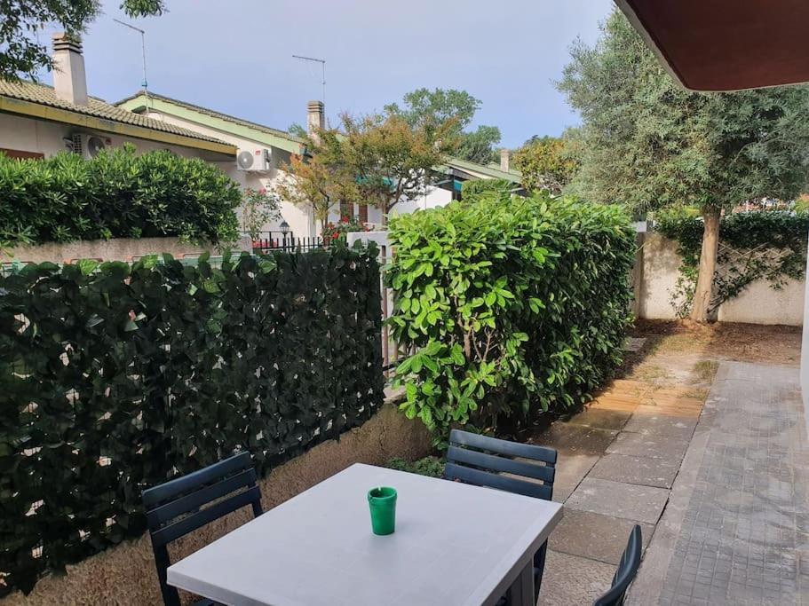 Ccc Holiday Properties Le Vele Ccc 蒙塔尔托迪卡斯特罗 外观 照片