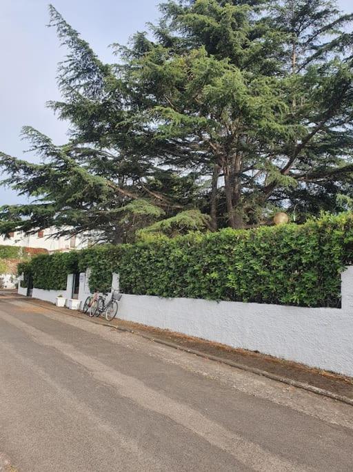 Ccc Holiday Properties Le Vele Ccc 蒙塔尔托迪卡斯特罗 外观 照片