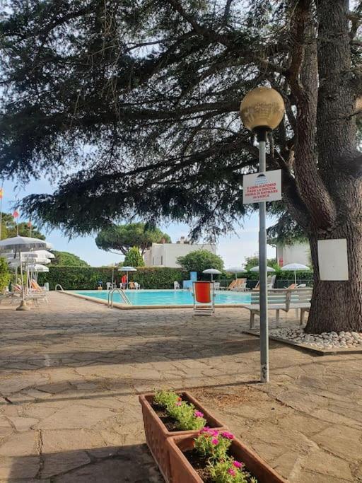 Ccc Holiday Properties Le Vele Ccc 蒙塔尔托迪卡斯特罗 外观 照片
