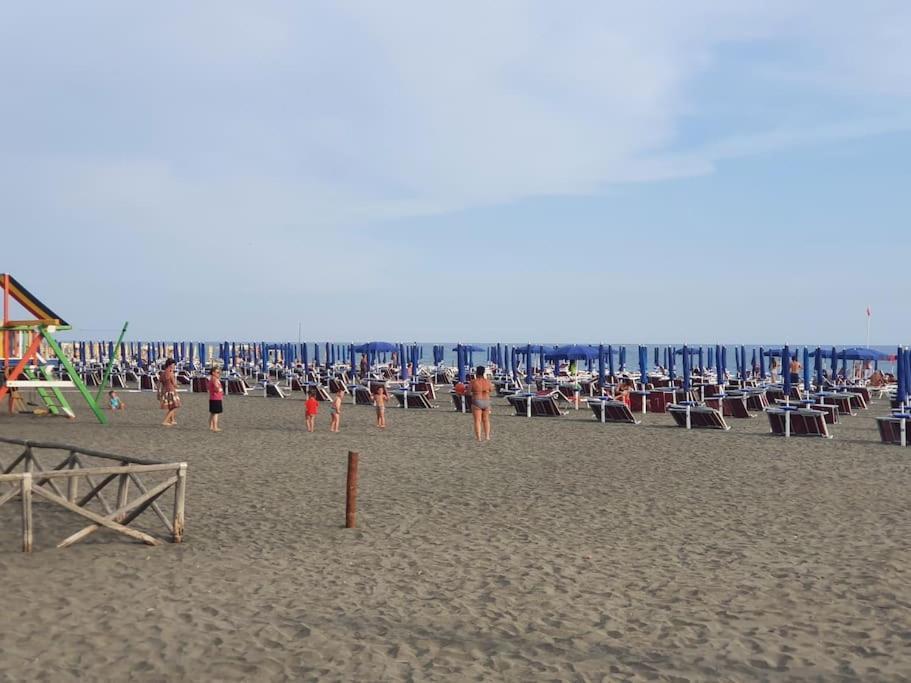 Ccc Holiday Properties Le Vele Ccc 蒙塔尔托迪卡斯特罗 外观 照片