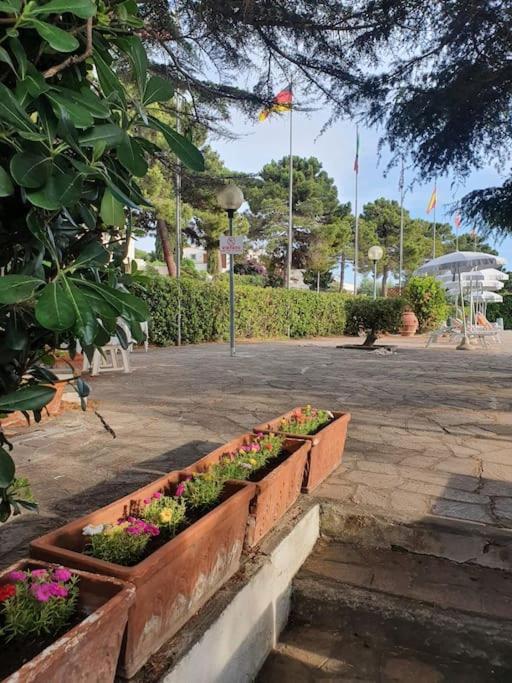 Ccc Holiday Properties Le Vele Ccc 蒙塔尔托迪卡斯特罗 外观 照片